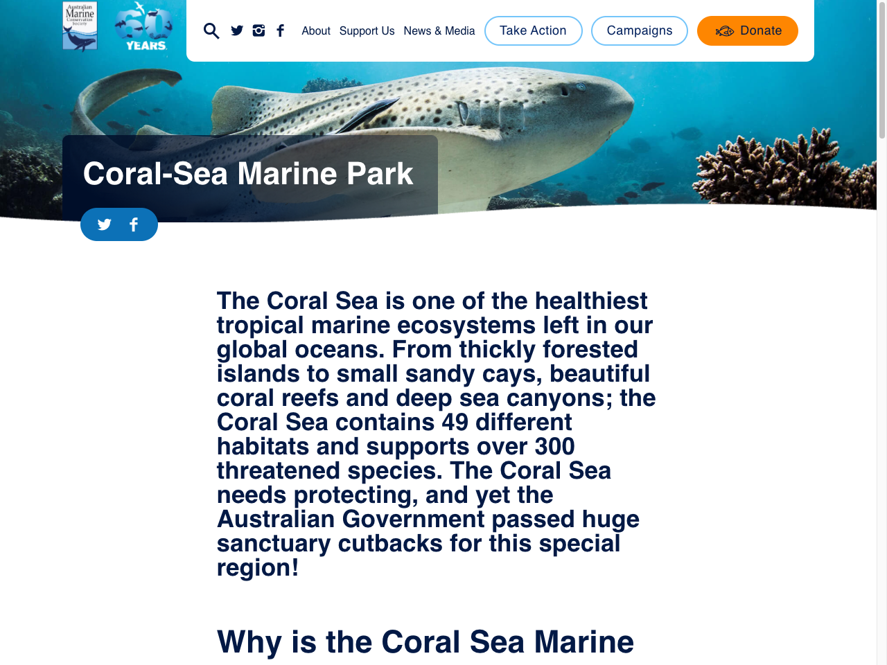 Preview of Coral Sea Marine Park - Australian Marine Conservation Society, accessed August 3, 2025, 