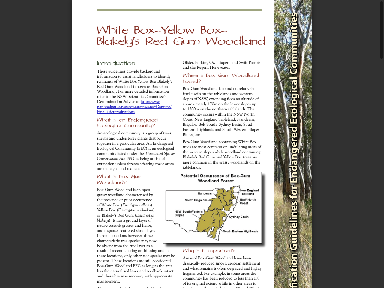 Preview of Identification Guidelines for Endangered Ecological Communities: White box - yellow box - Blakely's red gum woodland - NSW Environment Protection Authority, accessed August 11, 2025,