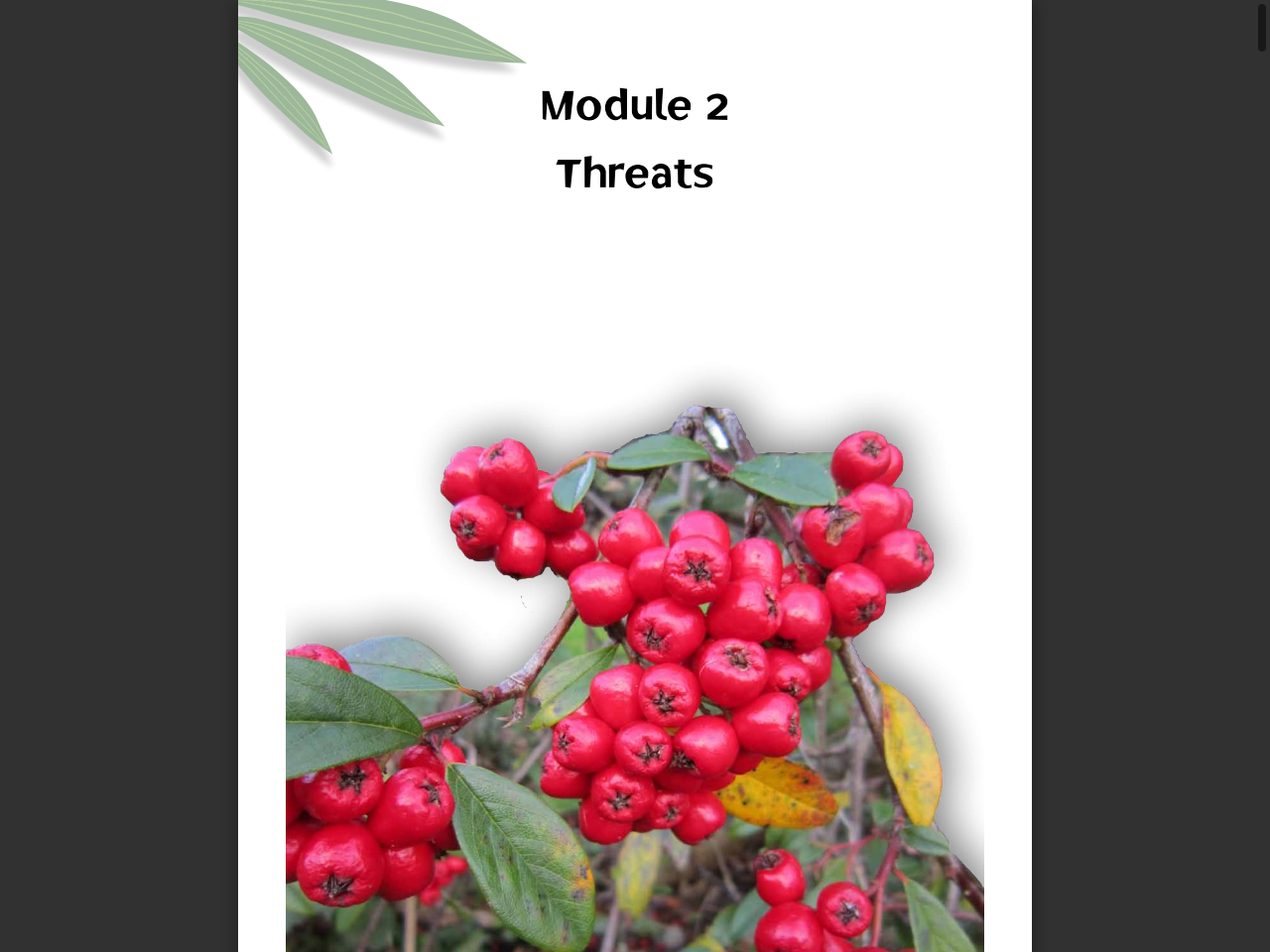 Preview of How do we drive a renaissance for national island conservation in Australia?, accessed July 28, 2025