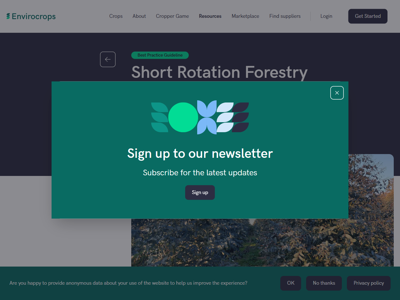 Preview of Envirocrops. (n.d.). Eucalyptus Best Practice Guidelines.