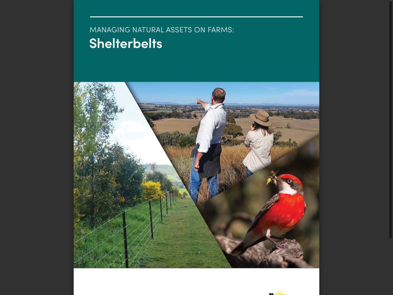 Preview of Shelterbelts: a guide to improving natural assets on a farm