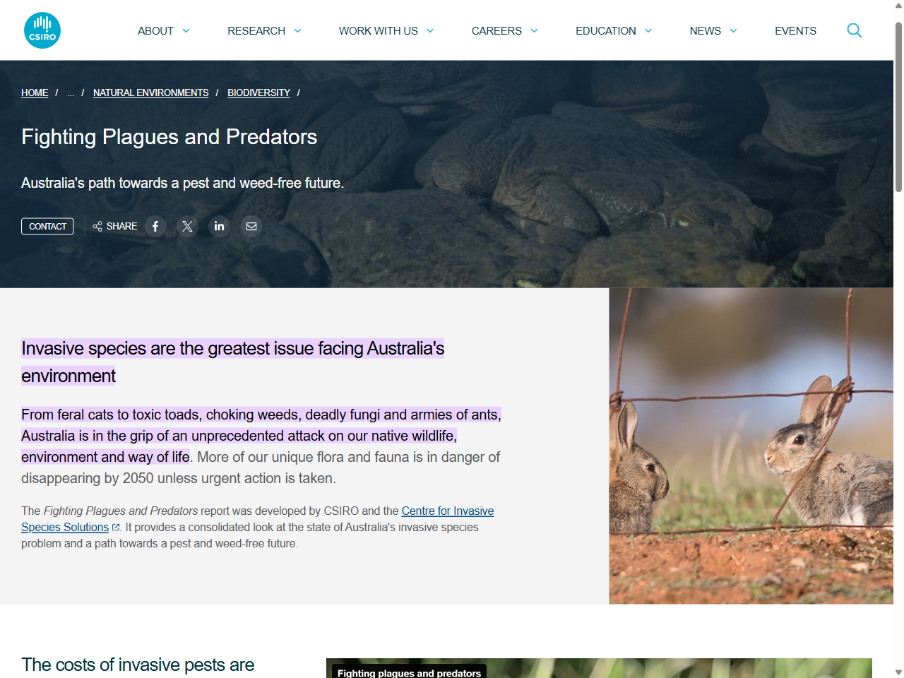 Preview of Expert commentary: Invasive species driving Australian biodiversity loss - CSIRO