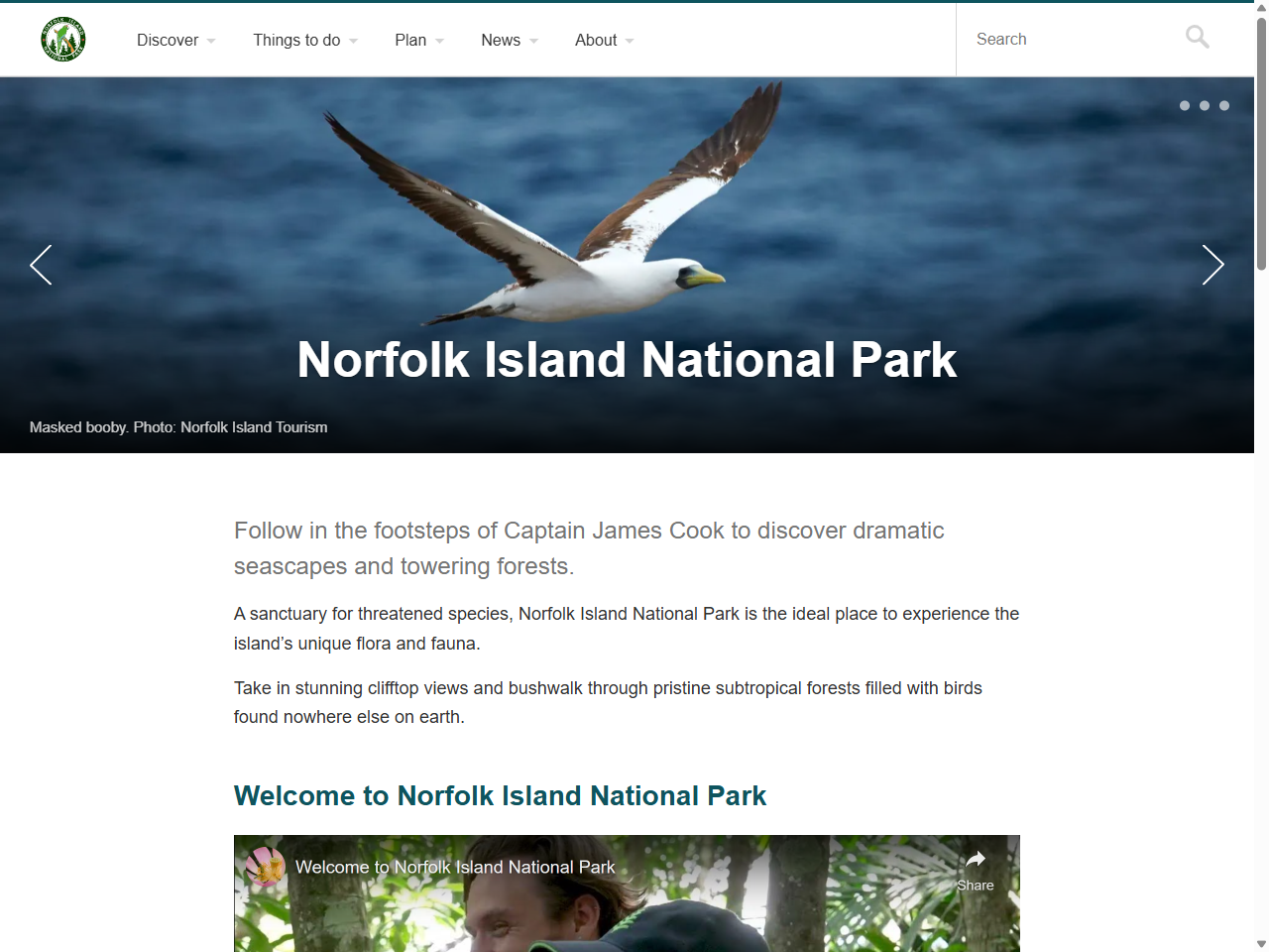 Preview of Norfolk Island National Park | Parks Australia, accessed July 30, 2025, 