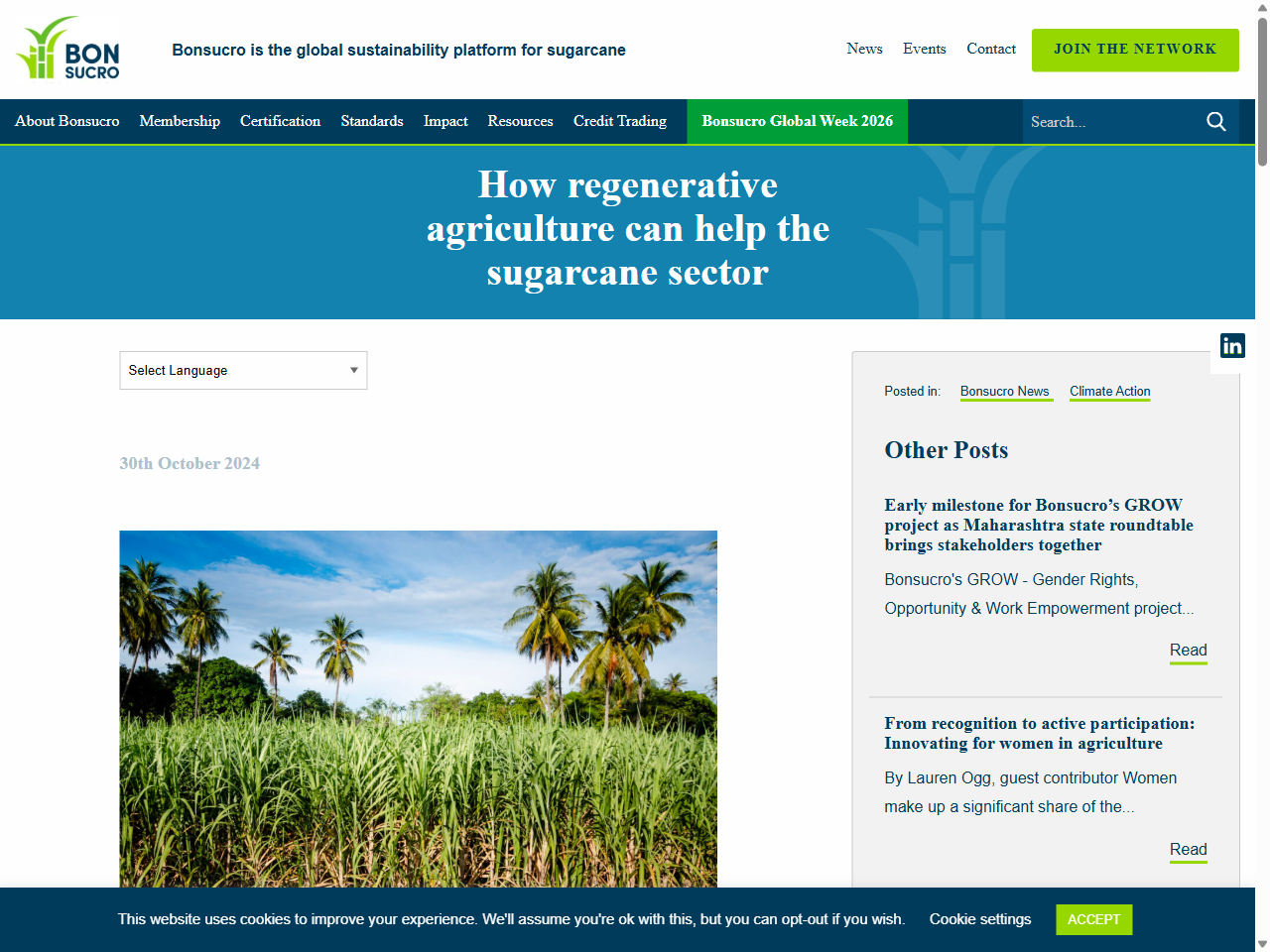 Preview of Soil and water best management practices for NSW banana growers, accessed July 18, 2025,