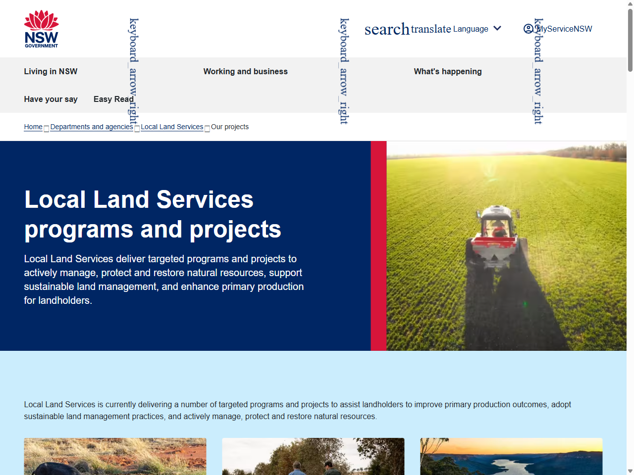 Preview of Thinking Inside the Box Gum Grassy Woodland - Local Land Services, accessed August 12, 2025, 