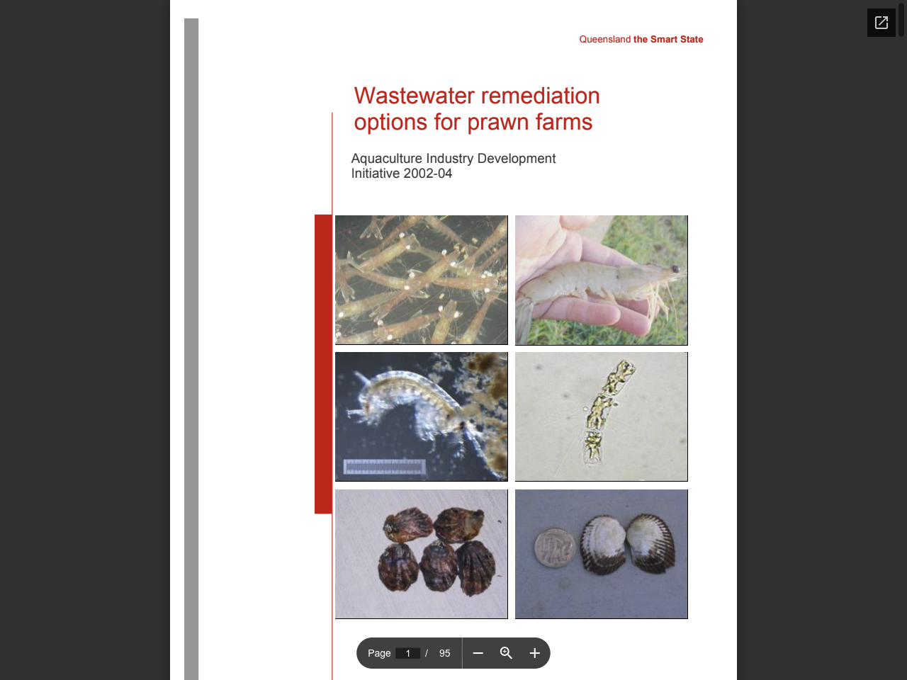 Preview of Wastewater remediation options for prawn farms, accessed August 1, 2025