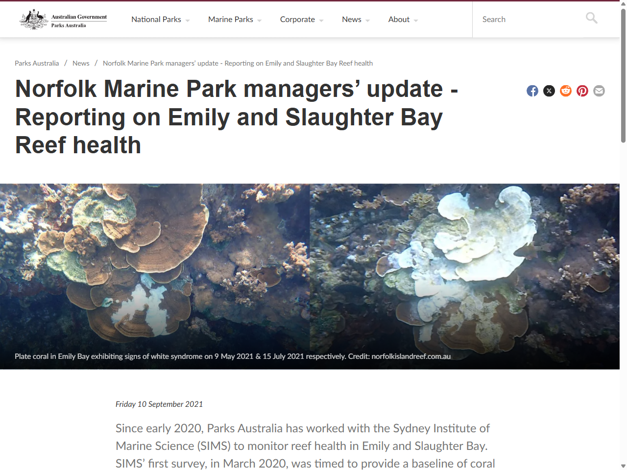 Preview of Norfolk Island Lagoonal Reef Ecosystem Health Assessment 2020-2021 - Australian Marine Parks, accessed July 27, 2025