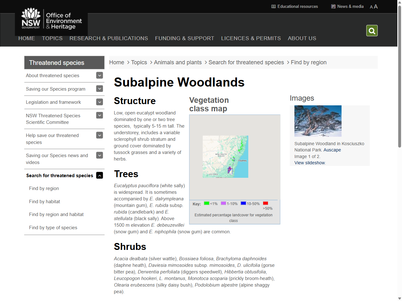 Preview of Subalpine Woodlands | NSW Environment, Energy and Science, accessed on May 28, 2025