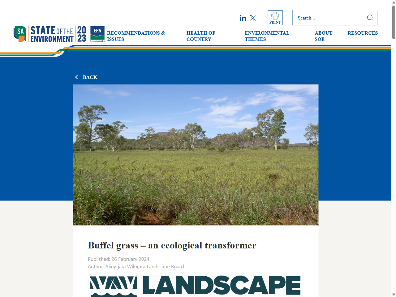 Preview of an ecological… - State of the Environment 2023 | Buffel grass, accessed July 6, 2025,