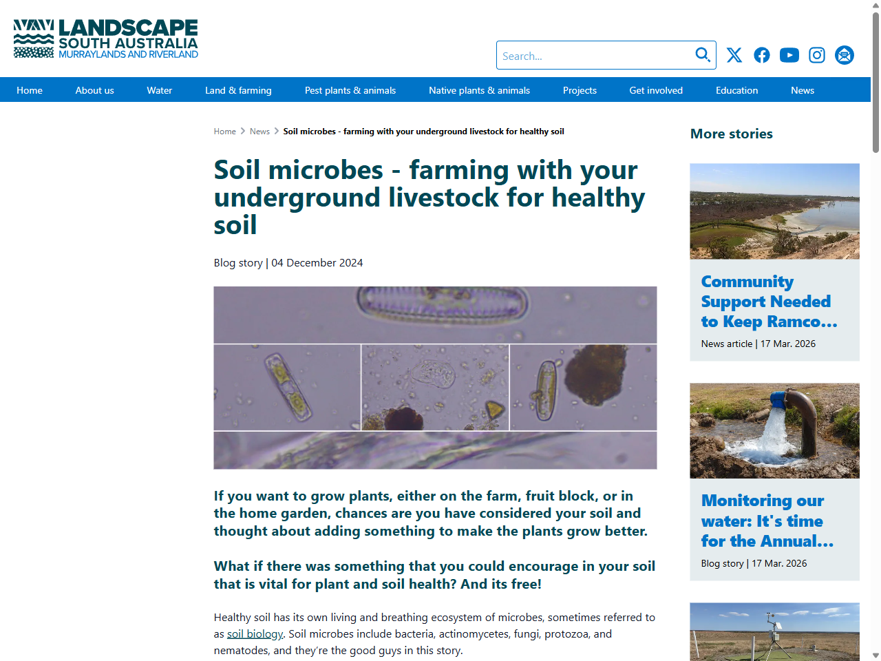 Preview of Soil microbes - farming with your underground livestock for healthy soil - Landscape SA, accessed July 22, 2025