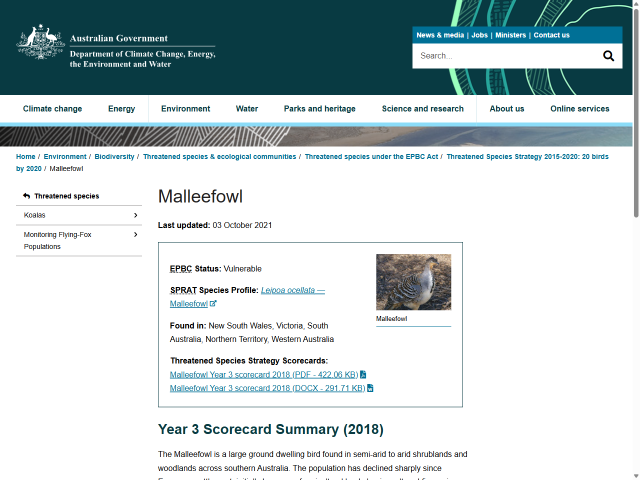 Preview of Malleefowl - DCCEEW, accessed July 9, 2025,