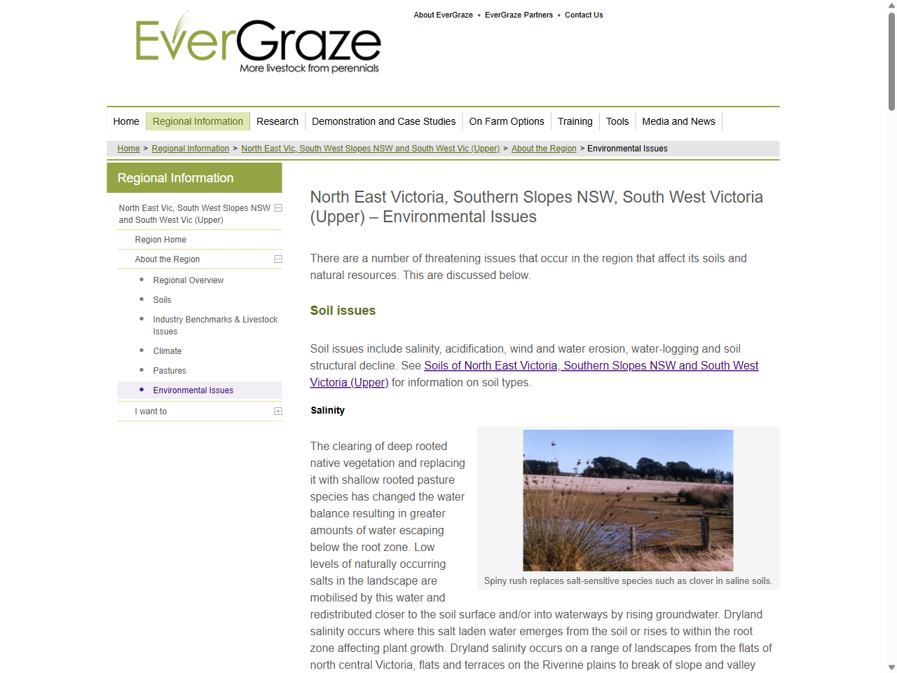 Preview of Scherrer, D., & Pickering, C. M. (2009). Modelling the impact of drought on grass survival in Australian alpine environments. Journal of Plant Ecology, 5(2), 121-129.
