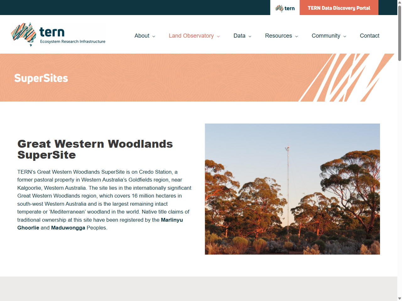 Preview of Great Western Woodlands SuperSite | Climate Change Impacts