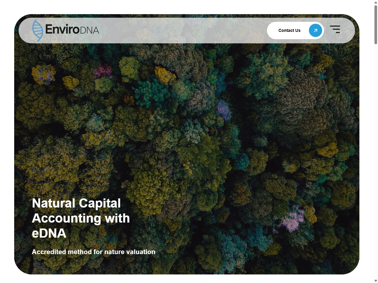 Preview of Understanding Natural Capital And The Accounting For Nature Framework - Anthesis Group, accessed on May 23, 2025