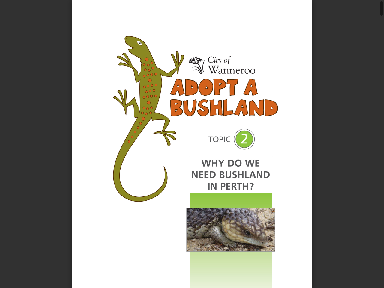 Preview of Litter & illegal dumping | City of Gold Coast, accessed July 13, 2025