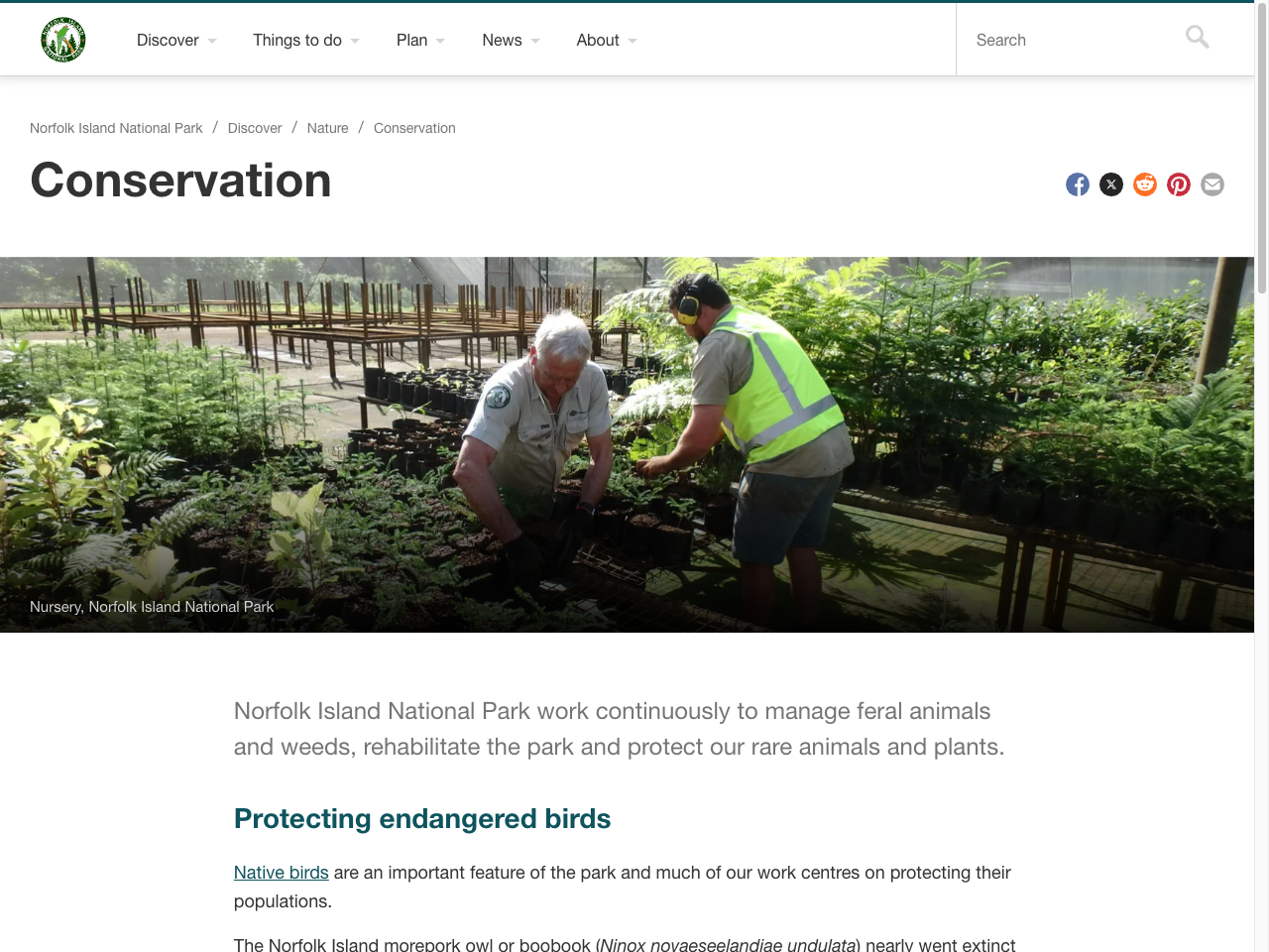 Preview of Conservation | Norfolk Island National Park | Parks Australia, accessed August 3, 2025, 