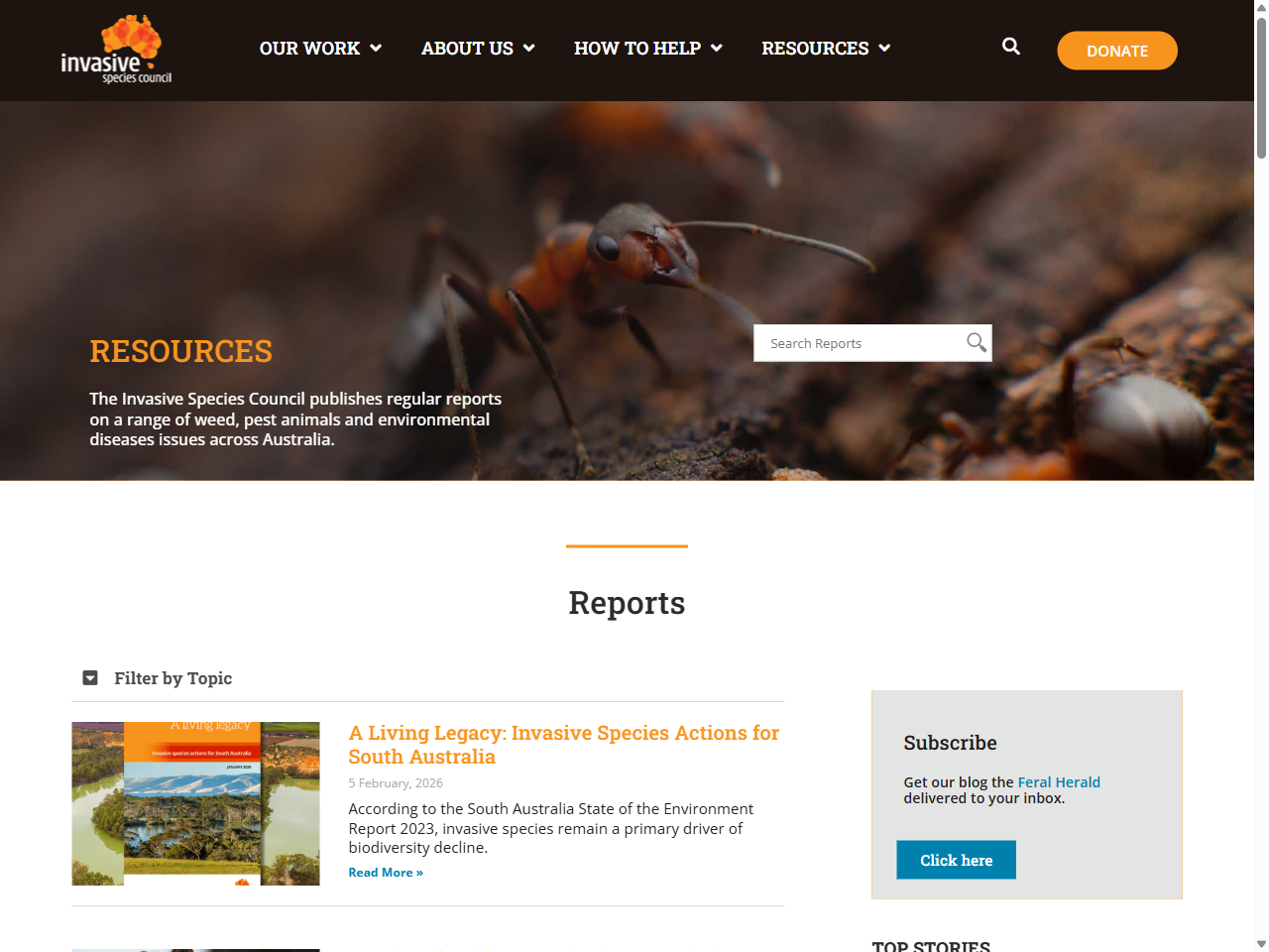 Preview of Reports - Invasive Species Council, accessed July 15, 2025