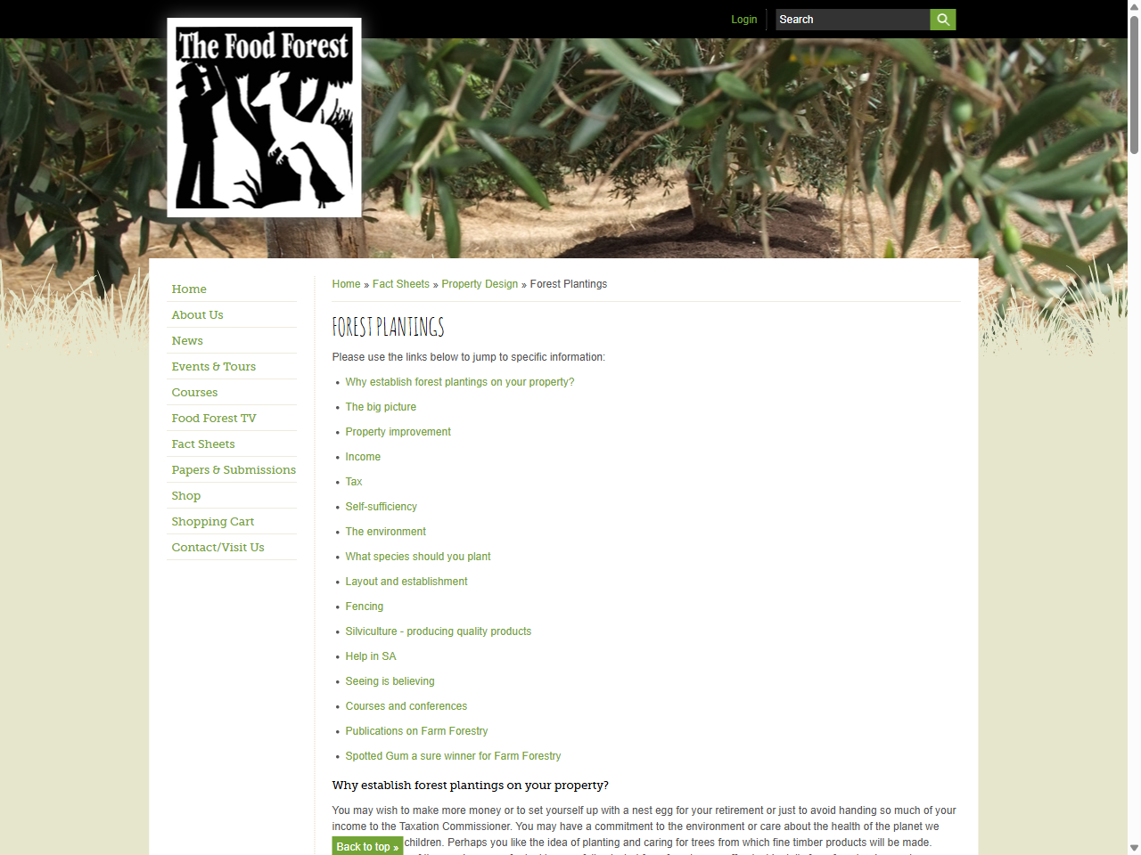 Preview of Food Forest. (n.d.). Forest Plantings.