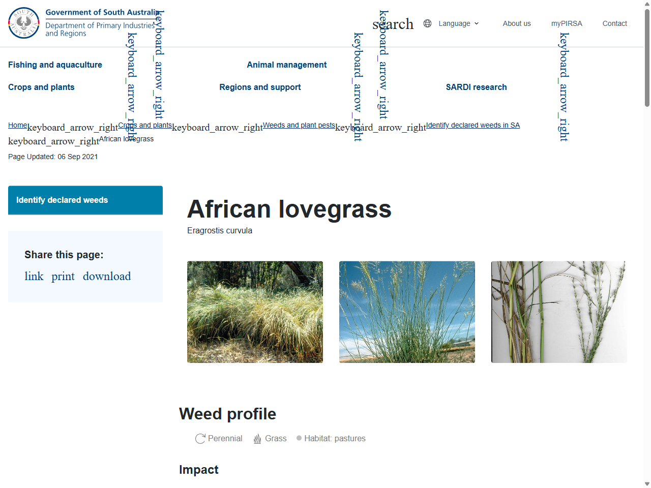 Preview of African lovegrass - Department of Primary Industries and Regions South Australia - PIRSA, accessed July 7, 2025