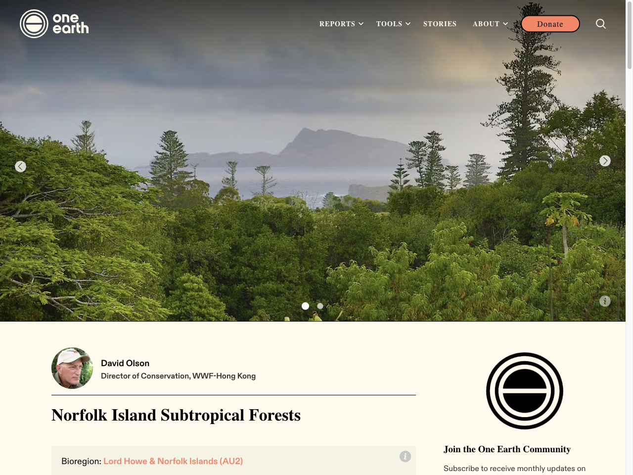 Preview of Norfolk Island Subtropical Forests | One Earth, accessed July 30, 2025,