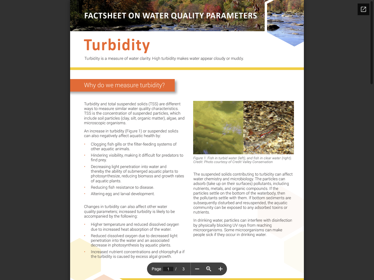 Preview of Turbidity, accessed August 3, 2025, 