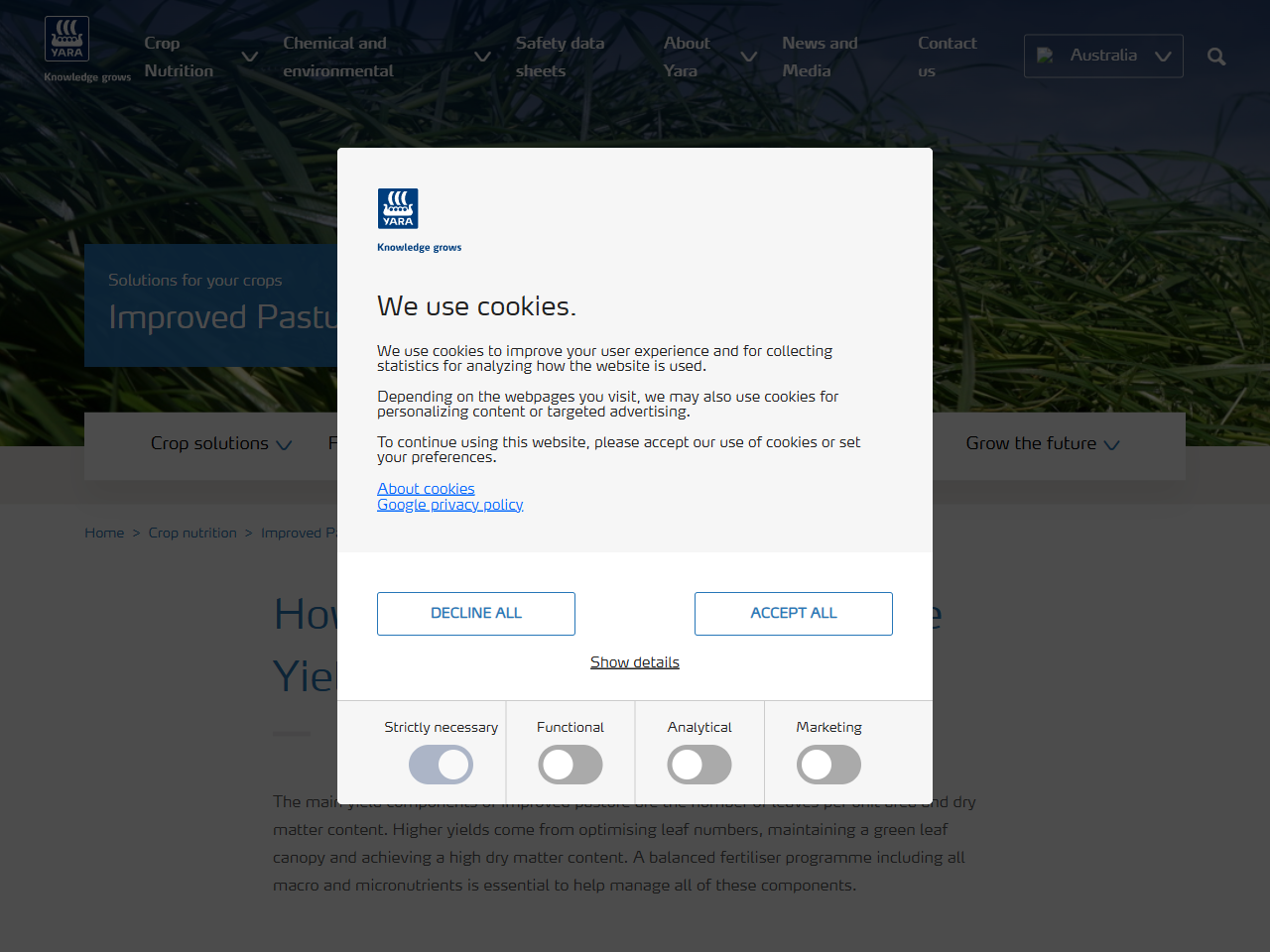 Preview of How to increase improved pasture yield | Yara Australia