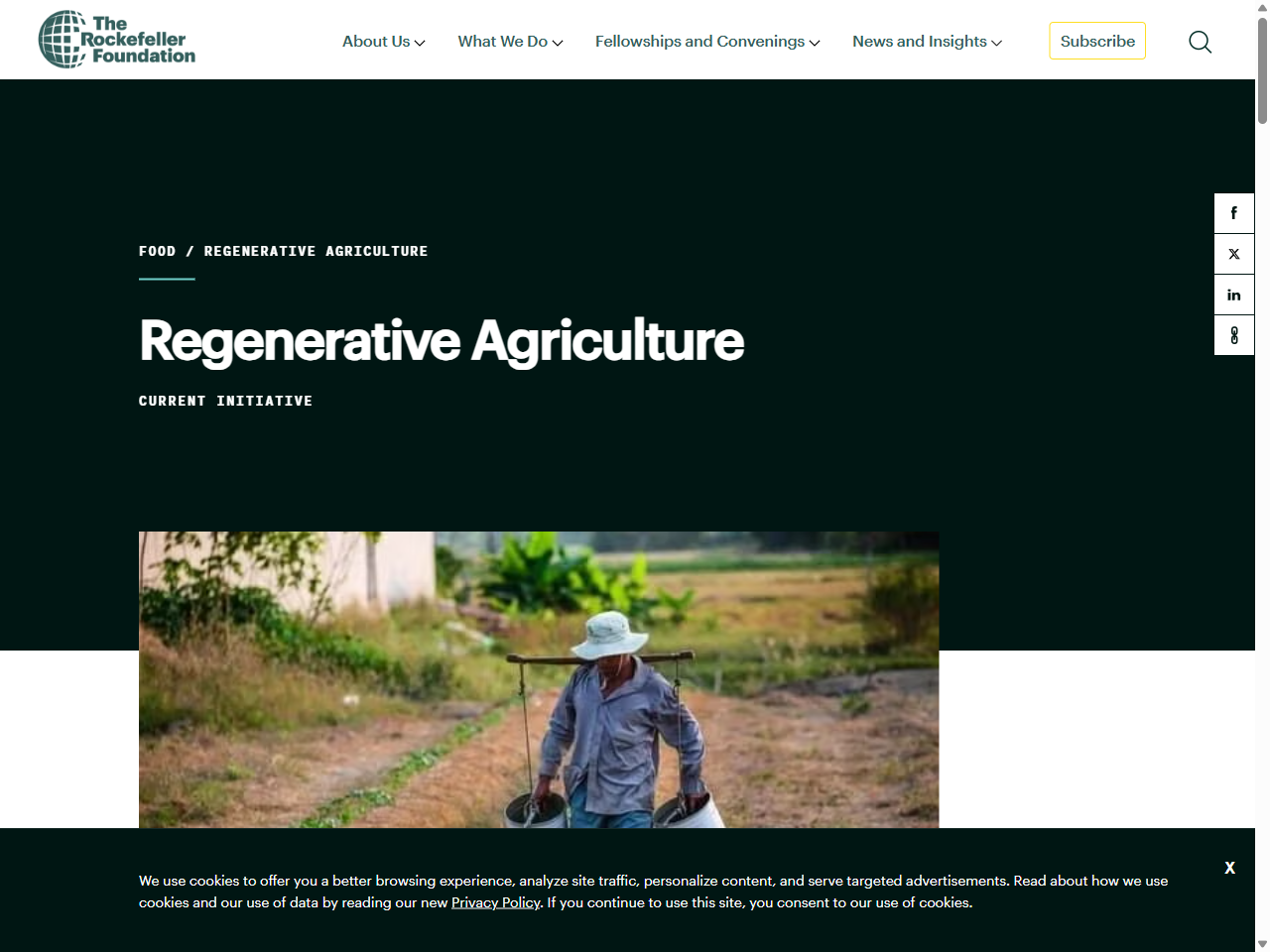 Preview of Soil management for sugarcane - NSW Department of Primary ..., accessed July 27, 2025, 