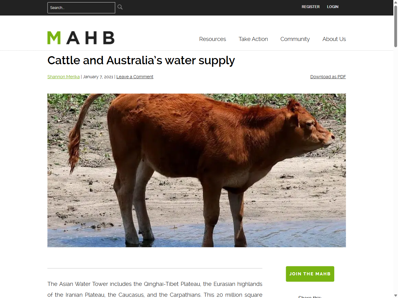 Preview of Cattle and Australia's water supply - MAHB, accessed July 10, 2025, 