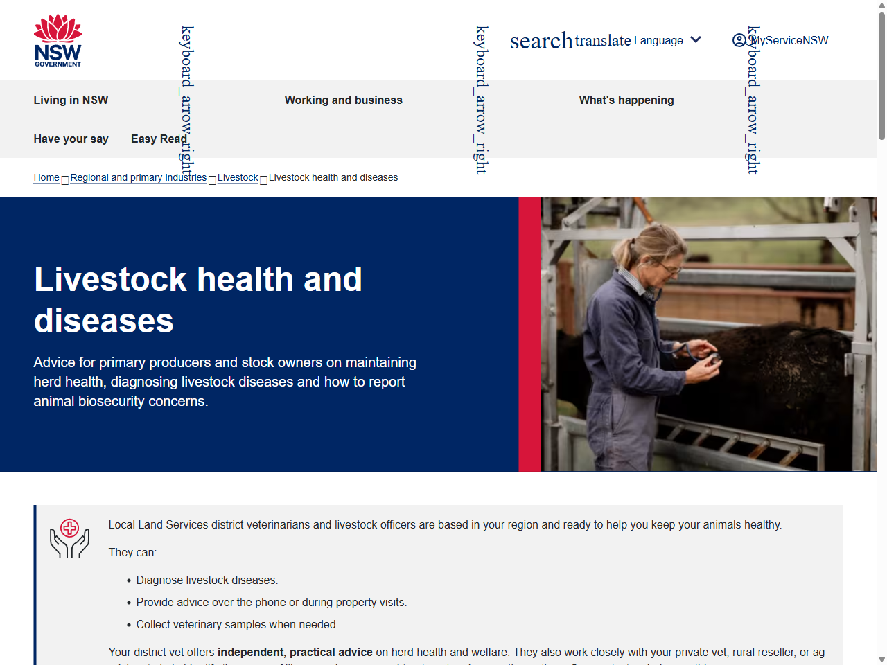 Preview of Grass Tetany in Cattle - Local Land Services, accessed July 10, 2025