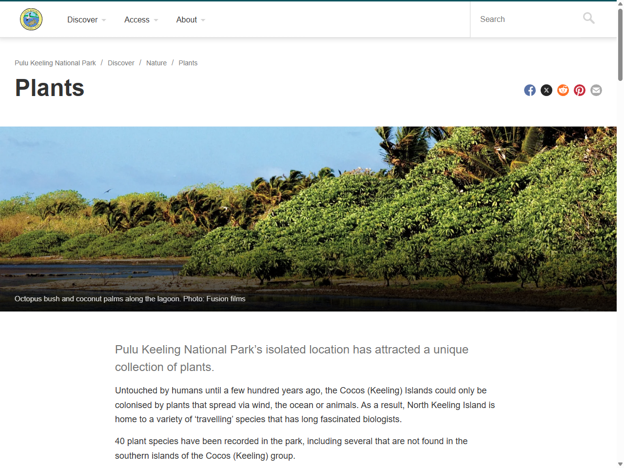 Preview of Plants | Pulu Keeling National Park | Parks Australia, accessed July 30, 2025, 