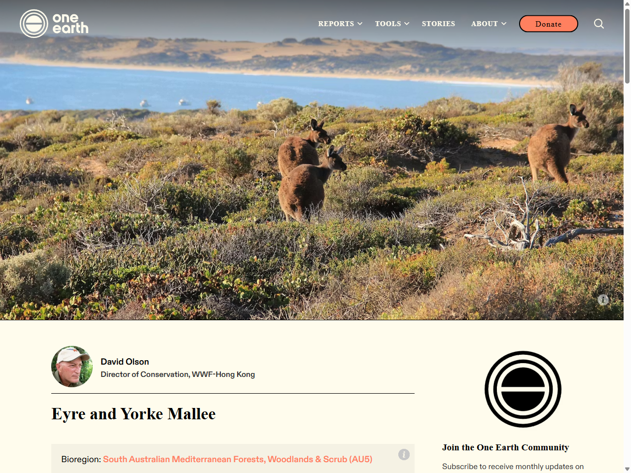 Preview of Eyre and Yorke Mallee | One Earth, accessed July 13, 2025