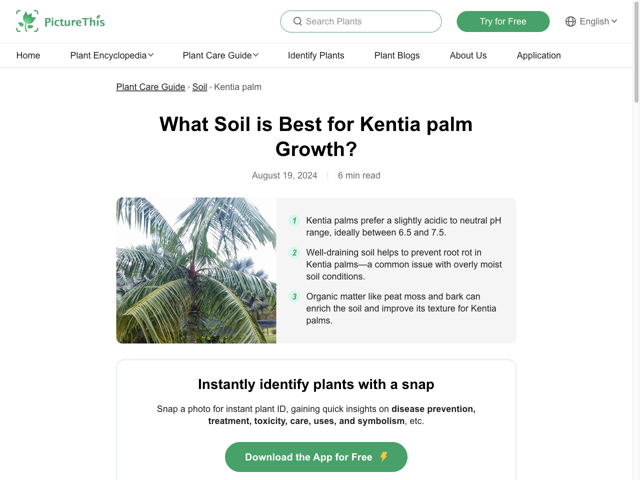 Preview of What Soil is Best for Kentia palm Growth? - PictureThis, accessed July 30, 2025,