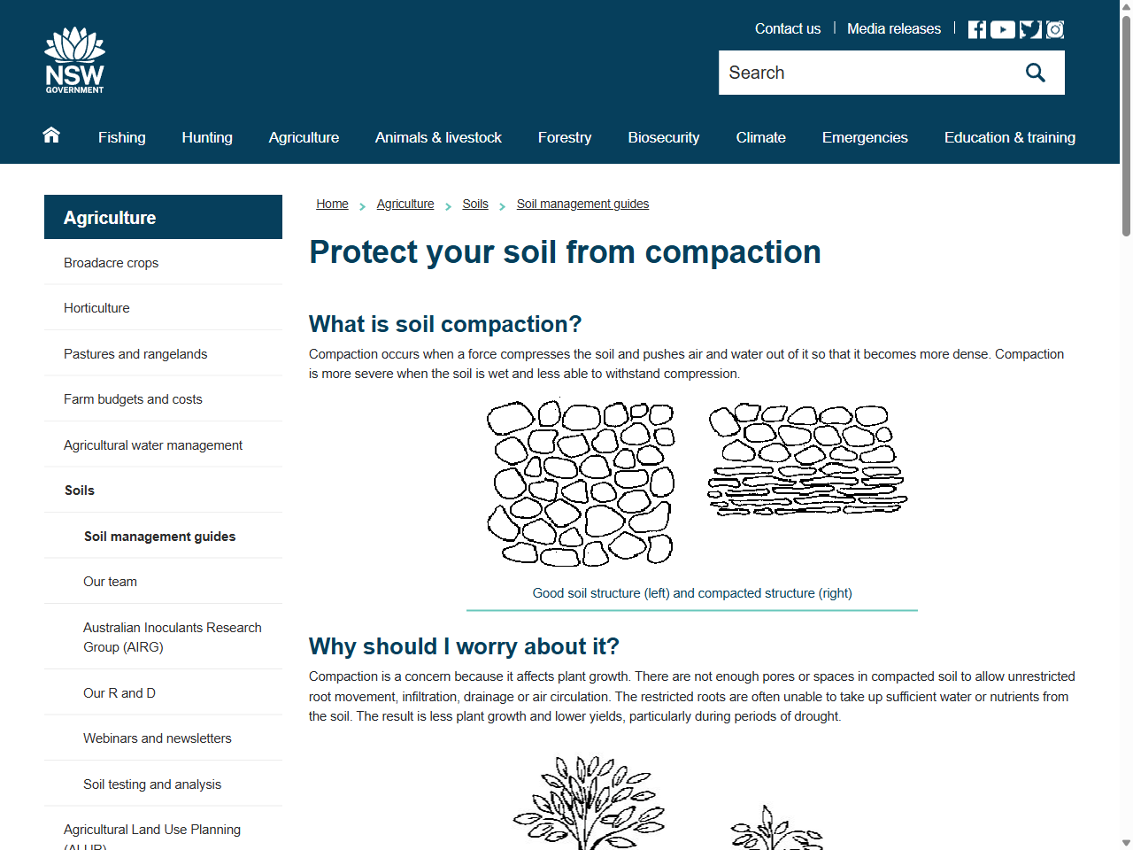 Preview of Protect your soil from compaction - NSW Department of Primary Industries, accessed August 4, 2025,
