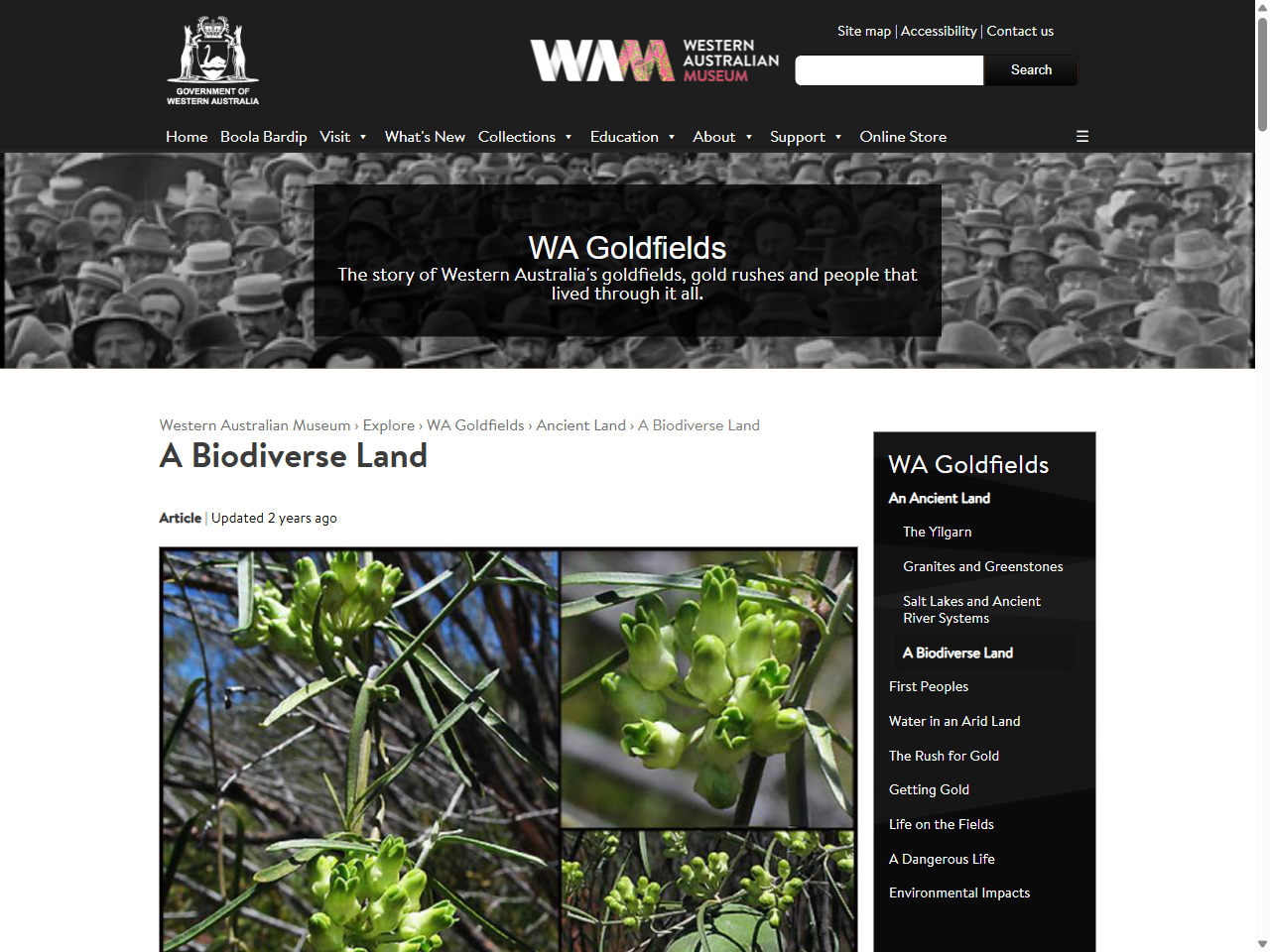 Preview of A Biodiverse Land | Western Australian Museum