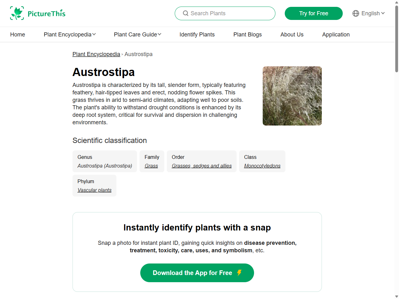 Preview of Environmental factors limiting the productivity of serradella in southern Australia Daniel Robert Kidd BSc (Biological & Env, accessed August 6, 2025