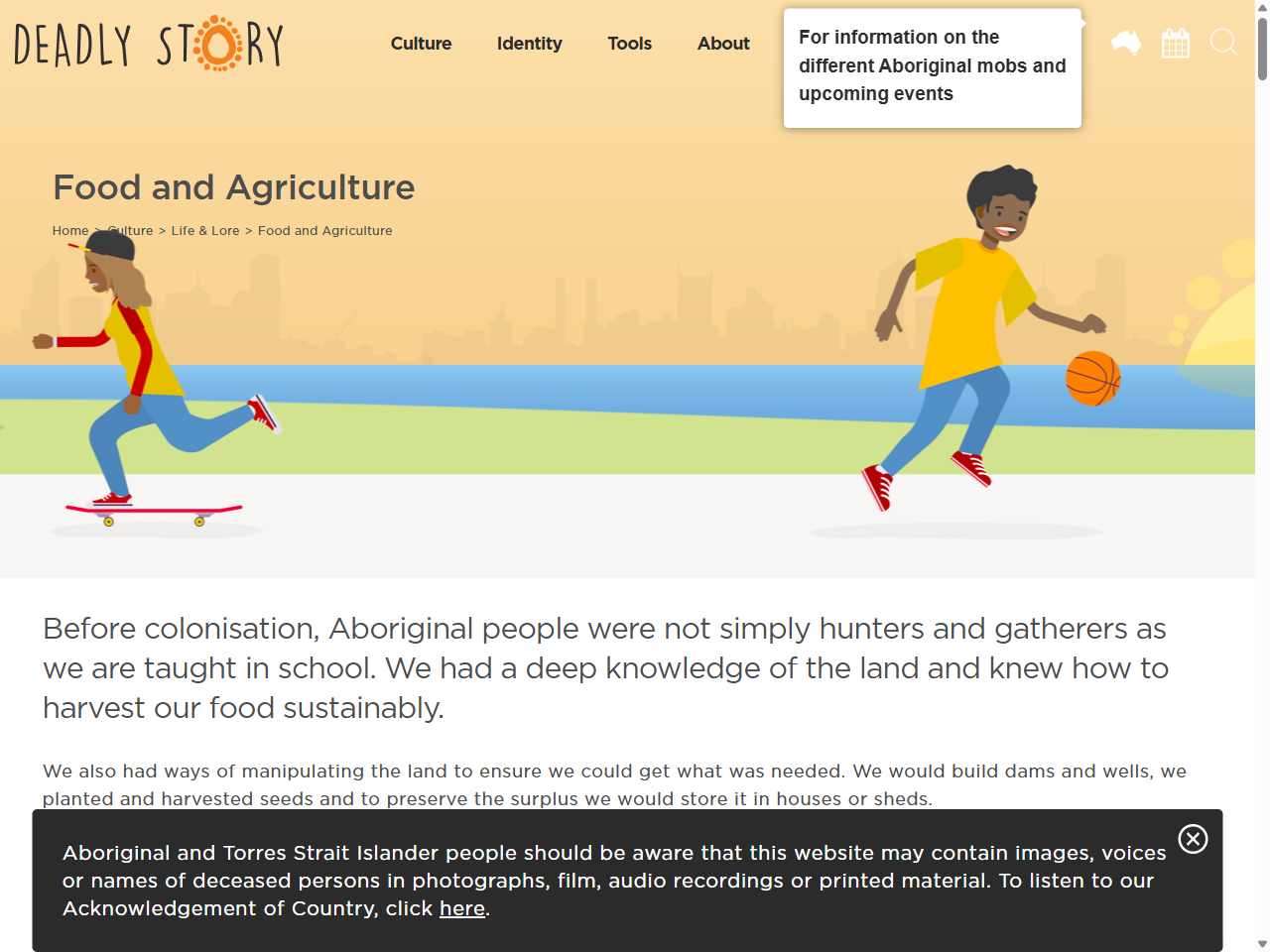 Preview of Traditional Aboriginal and Torres Strait Islander Land Management Practices: Fire-Stick Farming and Beyond - Welcome To Country - Shop, accessed July 28, 2025