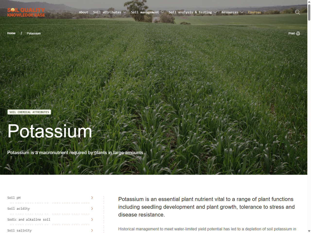 Preview of Potassium In Soil Explained - Soil Quality Knowledge Base, accessed August 11, 2025,