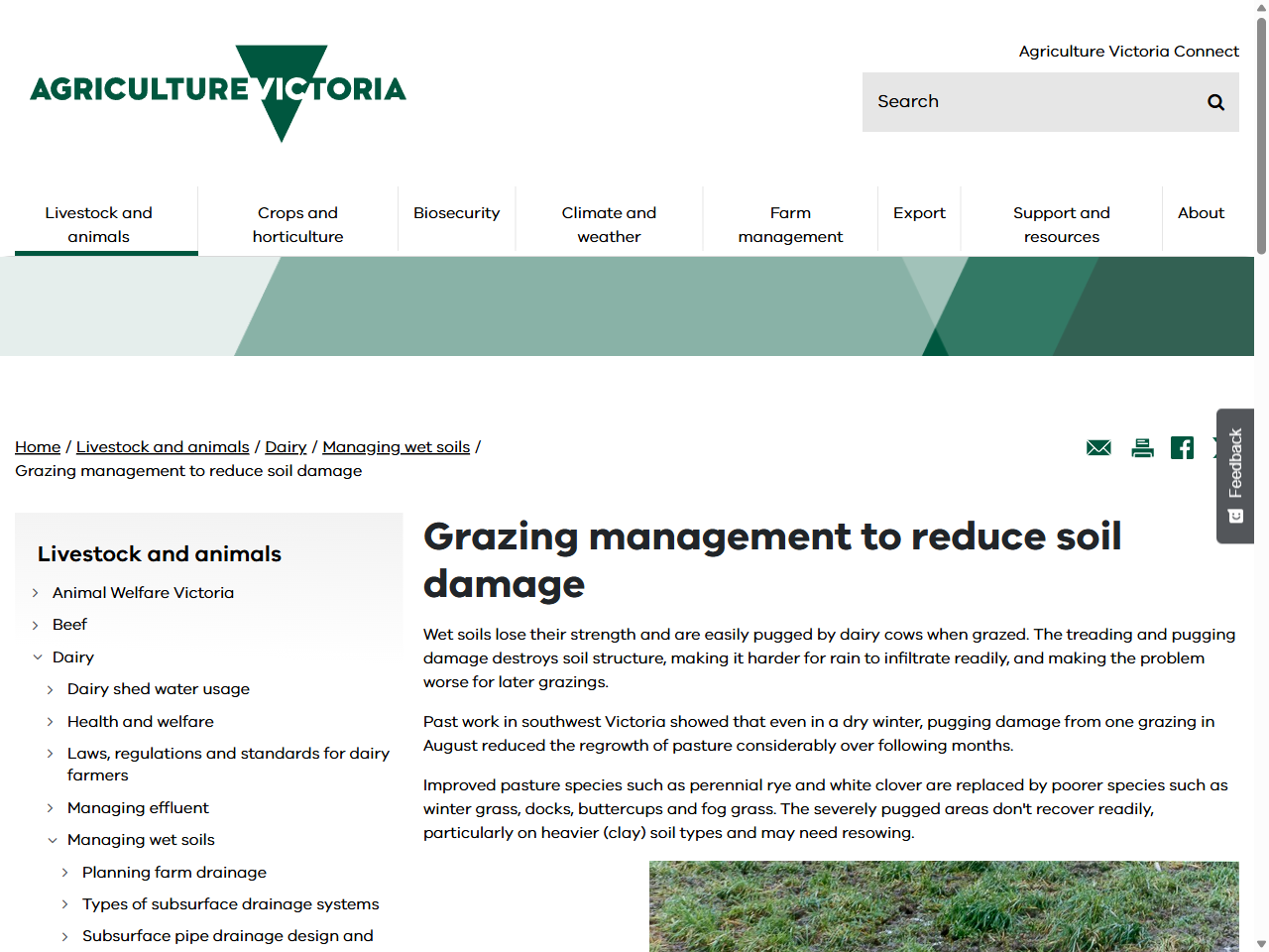 Preview of How do I manage the impact of compaction? - Soil Health Knowledgebase, accessed July 24, 2025