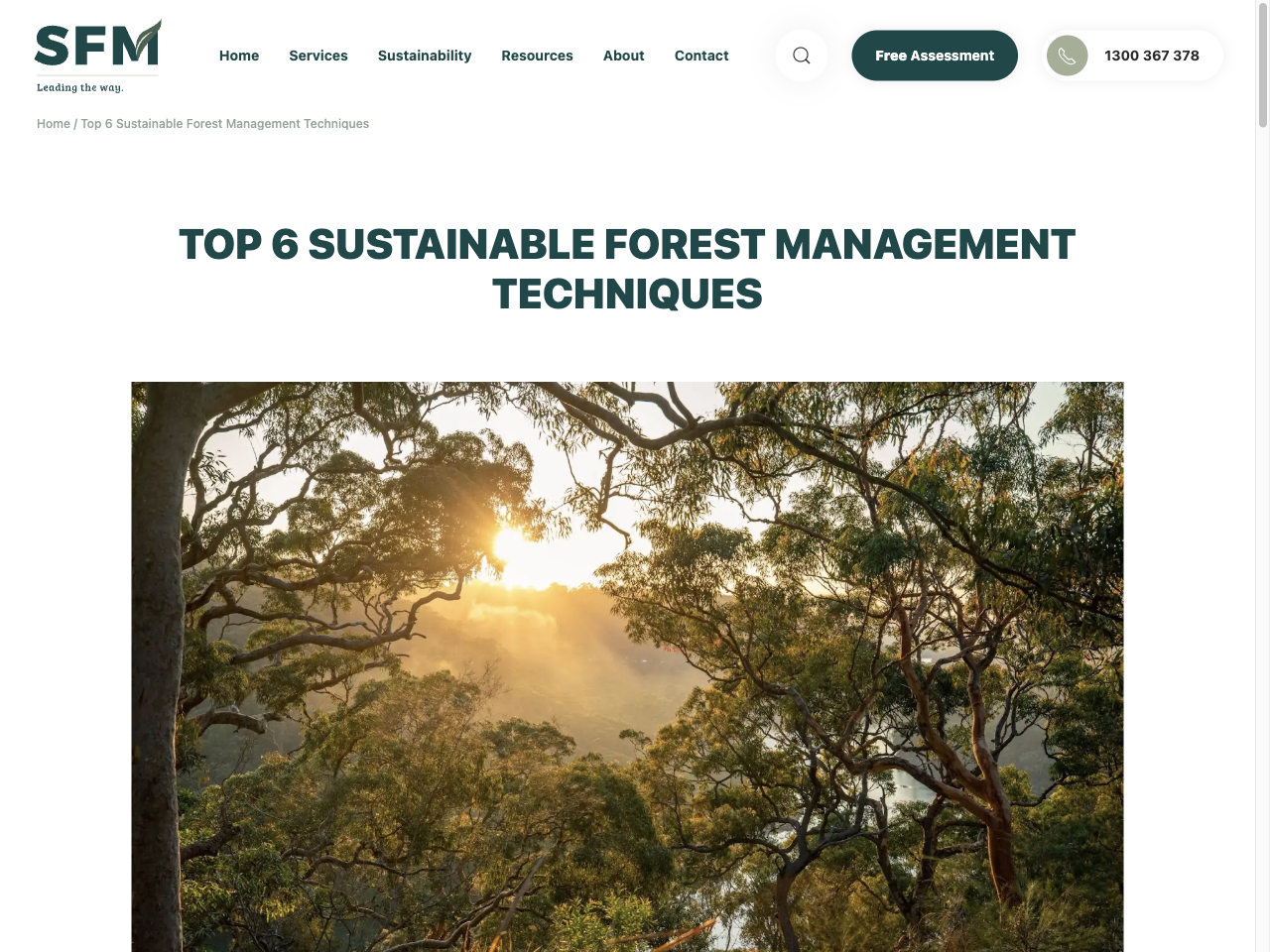 Preview of Top 6 Sustainable Forest Management Techniques, accessed July 12, 2025,