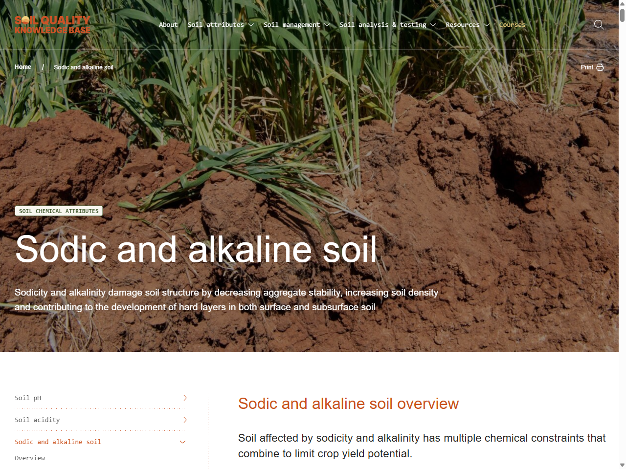 Preview of Understanding soil pH