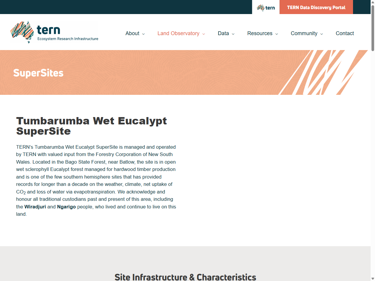 Preview of Tumbarumba Wet Eucalypt SuperSite | Logging Practices NSW, accessed August 9, 2025