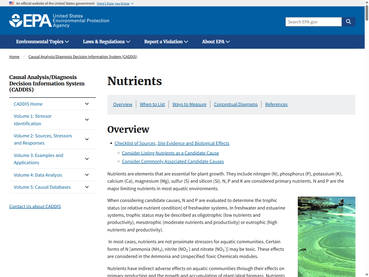Preview of Nutrients | US EPA, accessed July 26, 2025,
