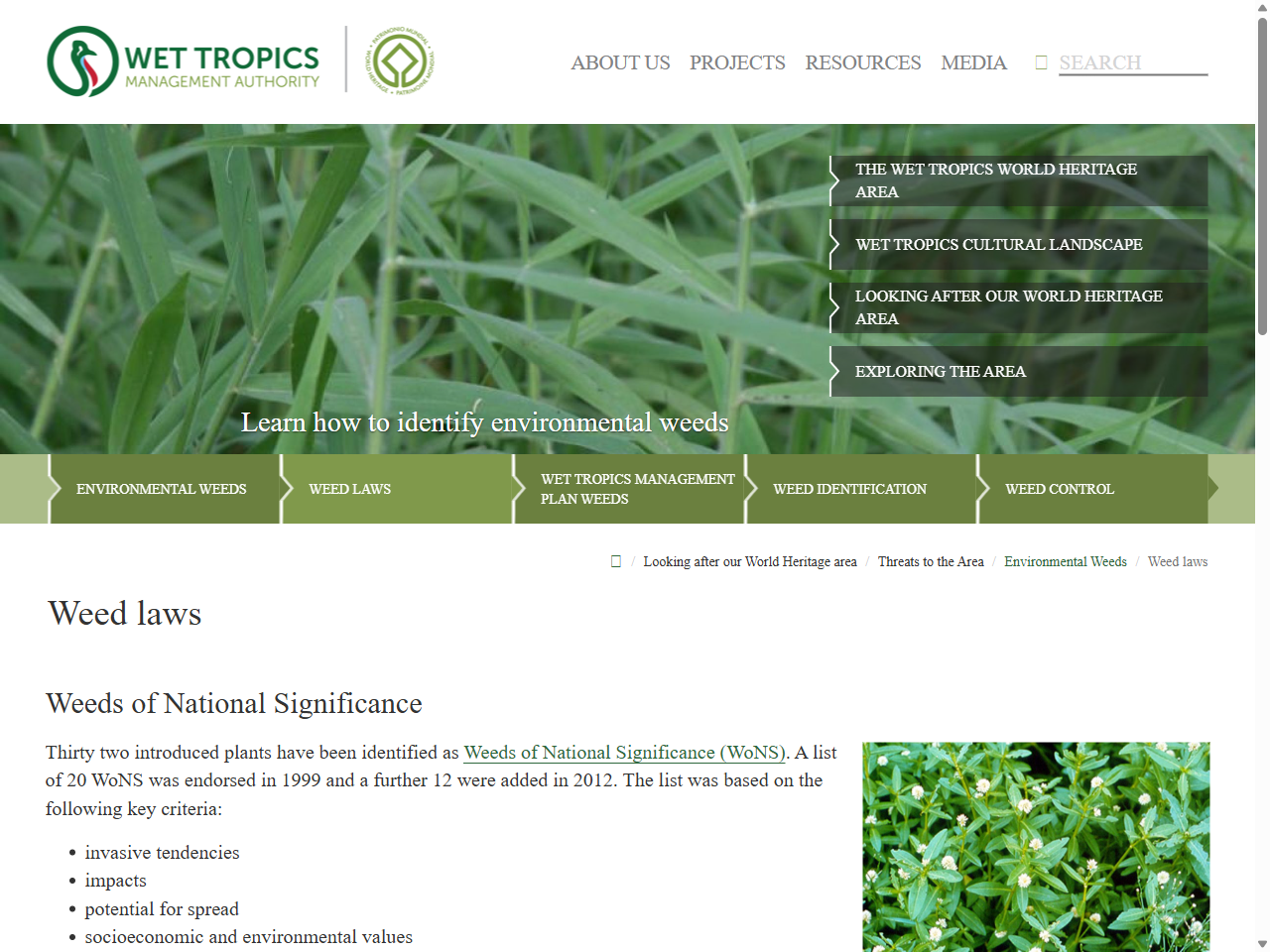 Preview of Restricted invasive plants of Queensland, accessed July 21, 2025,