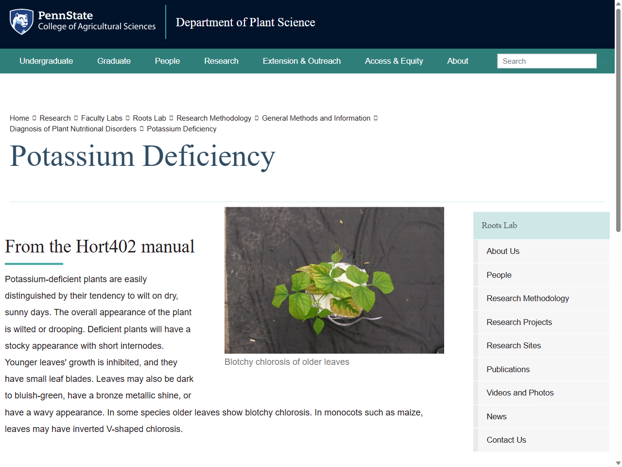 Preview of Potassium Deficiency — Research - Department of Plant Science, accessed July 13, 2025