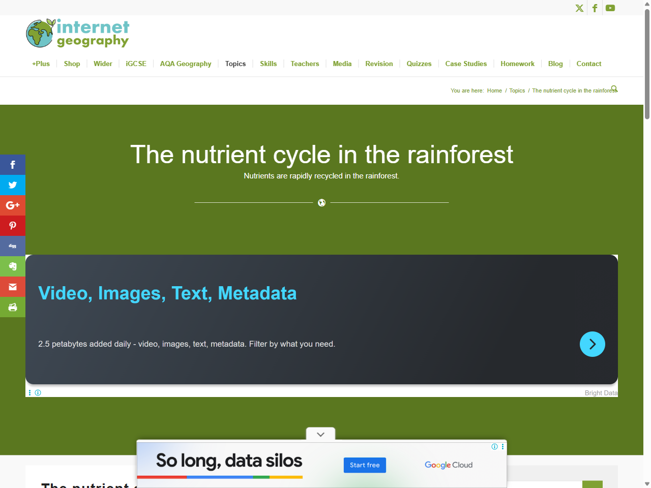 Preview of The nutrient cycle in the rainforest - Internet Geography, accessed July 30, 2025, 
