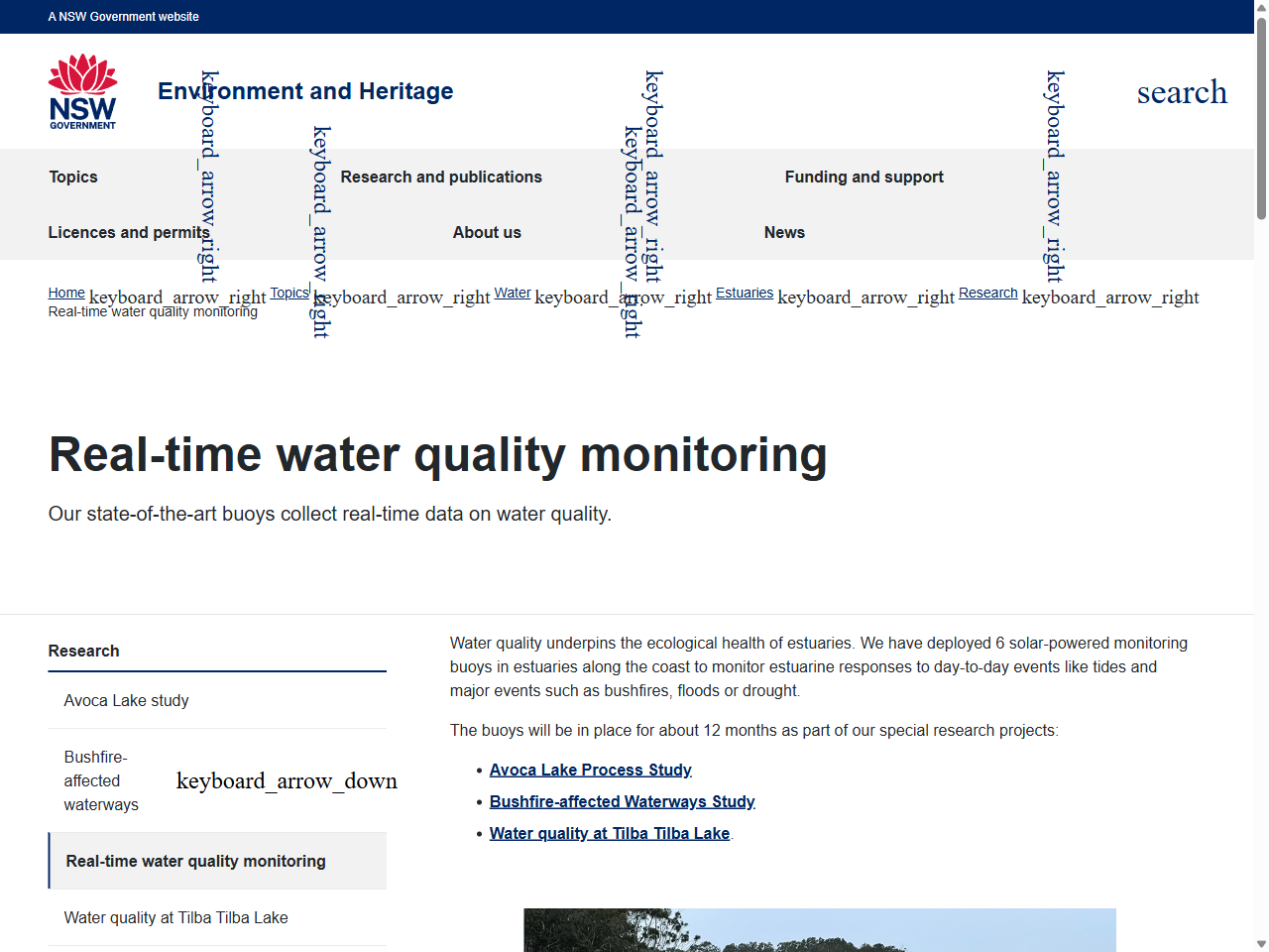 Preview of Real-time water quality monitoring | Estuaries - Environment and Heritage, accessed August 12, 2025