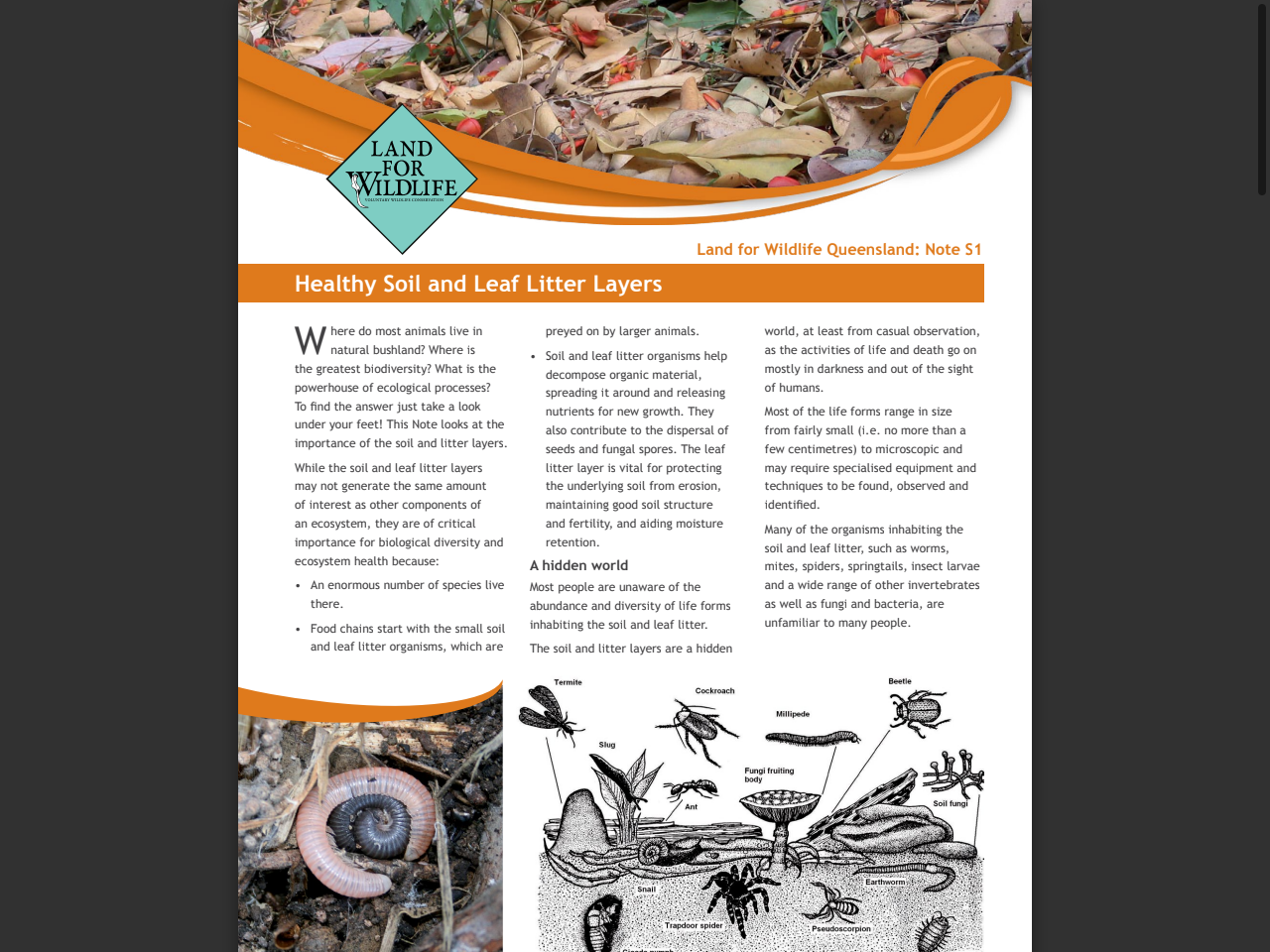 Preview of Soil health: the foundation of sustainable agriculture - 2001 workshop proceedings - NSW Department of Primary Industries, accessed August 1, 2025,