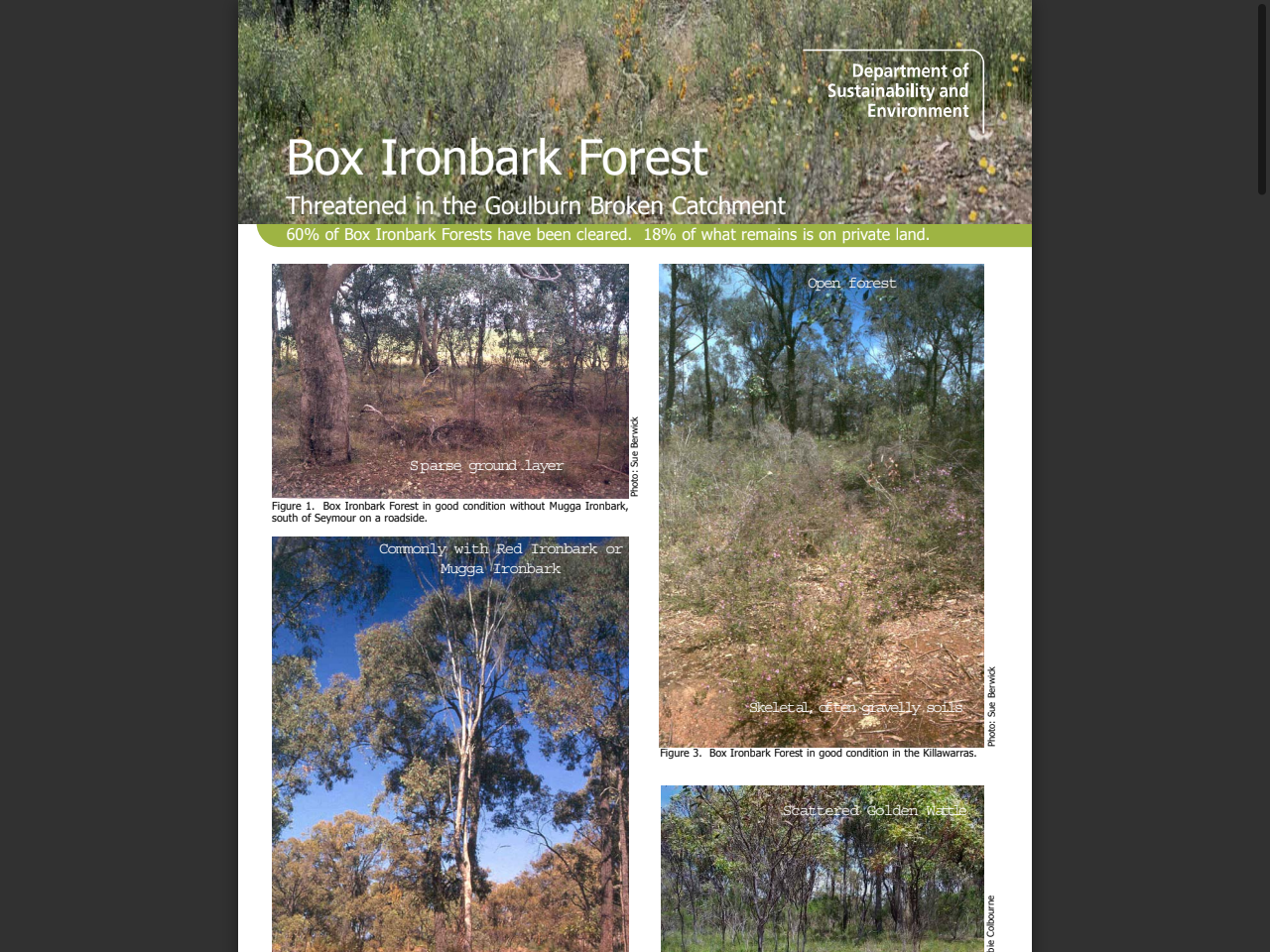 Preview of Box Ironbark Forest - Goulburn Broken Catchment Management Authority, accessed May 15, 2025,