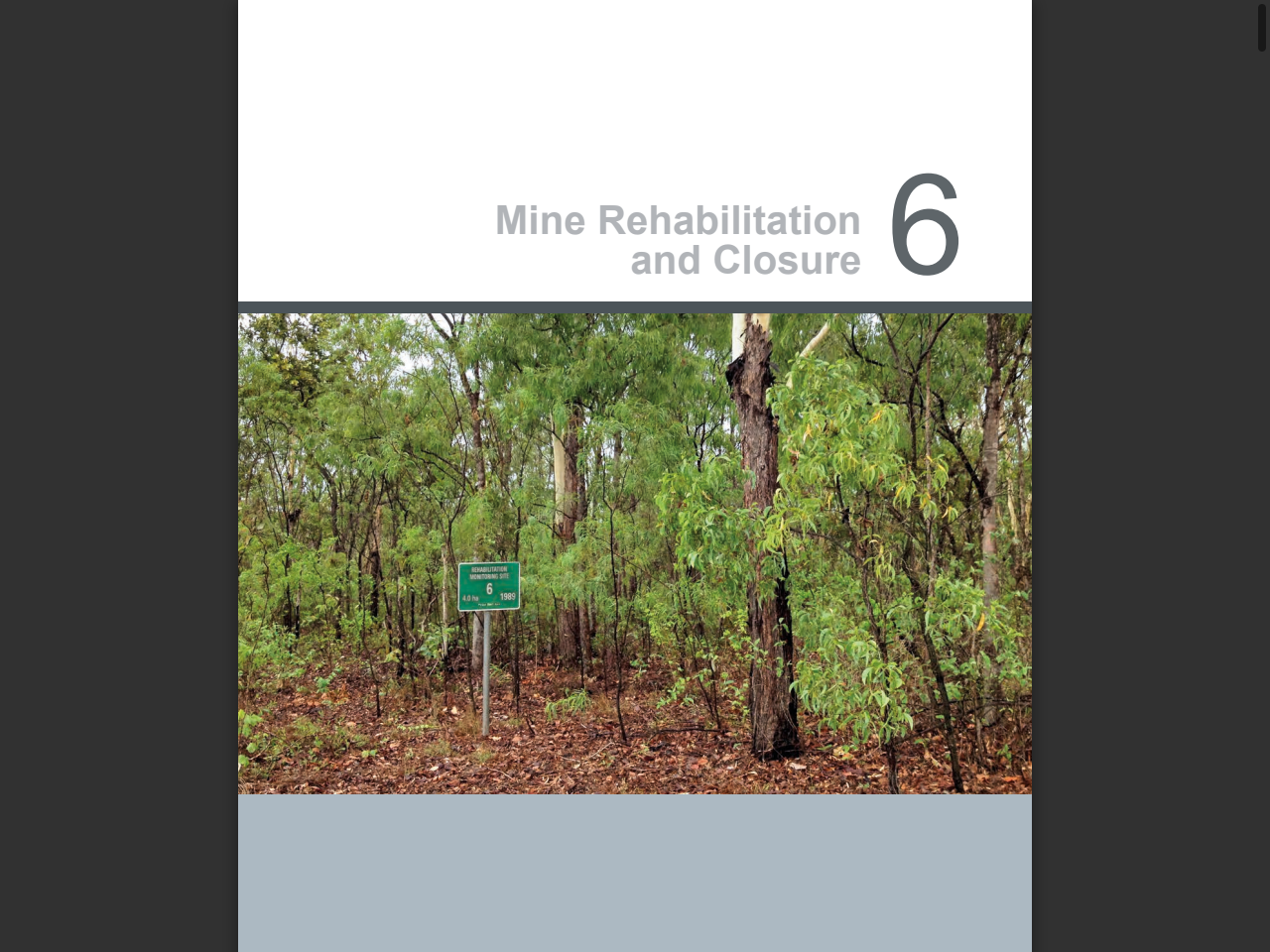 Preview of Rustlers Roost and Quest 29 Open-Cut Mine Redevelopment: Supplementary Environmental Impacts Statement (SEIS) - NTEPA, accessed August 1, 2025, 