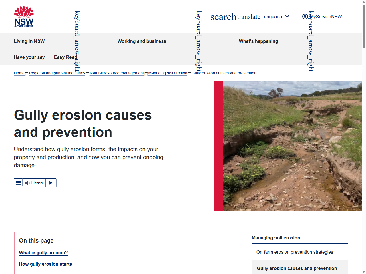 Preview of Gully Erosion Assessment and Control Guide released - Local Land Services, accessed July 13, 2025, 